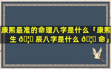 康熙最准的命理八字是什么「康熙生 🦋 辰八字是什么 🦋 命」